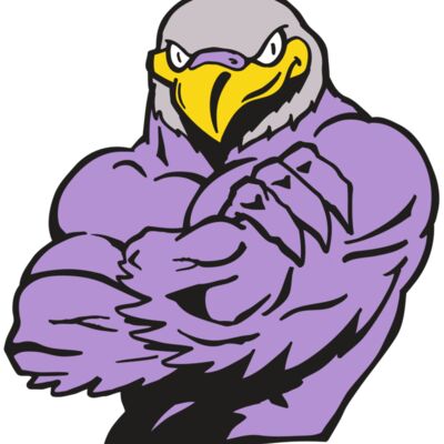 AR FALCON 32 RC Thumbnail