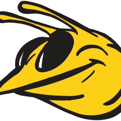 AR5 Bee 25 RQC Thumbnail