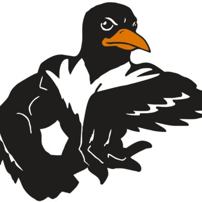 AR ORIOLE 22 RC Thumbnail