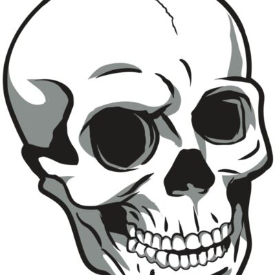 AR24 SKULL 14 RQC Thumbnail