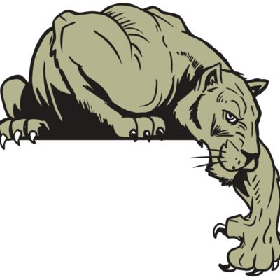 AR10 PANTHER 06 RQC Thumbnail